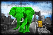 Tripping on Brooklyn bridge - green
